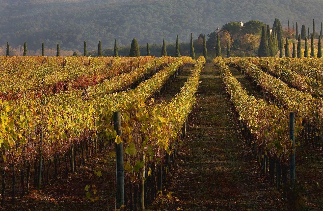 Villa Castello Di Gabbiano Mercatale Val Di Pesa Exterior foto